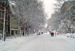 Snowpocalypse #7